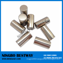 Irregular Shaped Cylinder Permanent Magnet